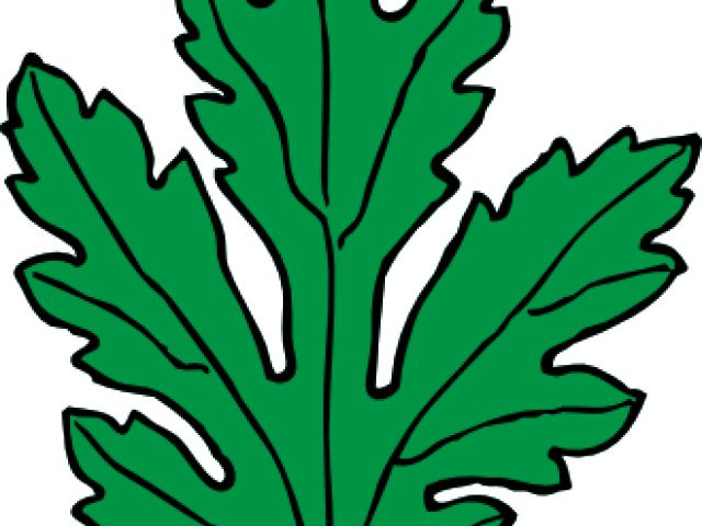 Chrysanthemum Leaves Clipart - Png Download (640x480), Png Download