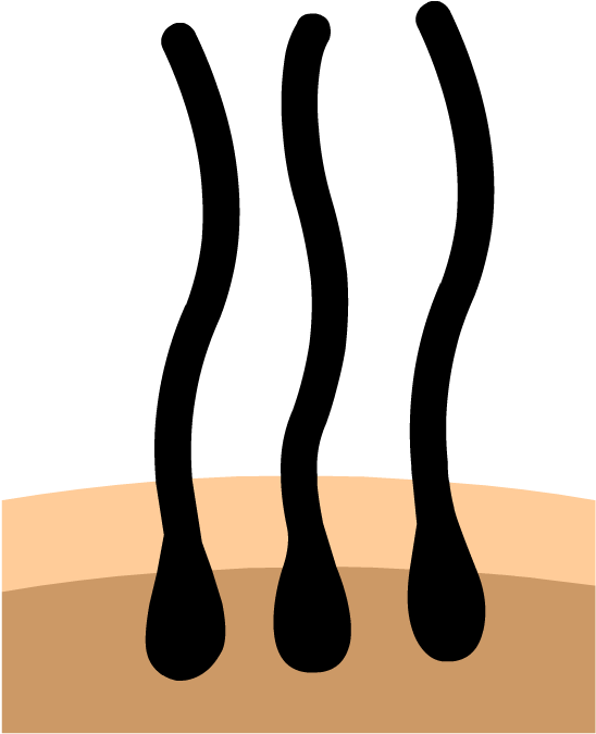 Hair - Illustration Clipart (880x880), Png Download