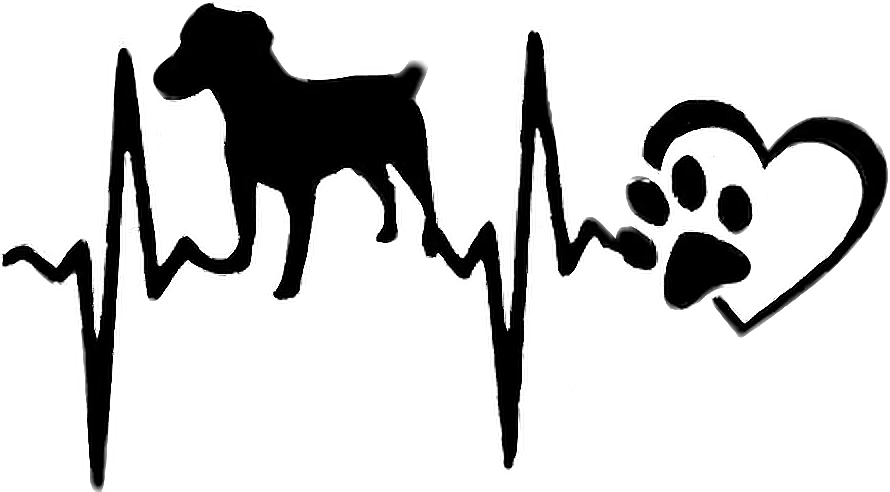 Report Abuse - Scrapbook T Shirt Svg Clipart (890x492), Png Download