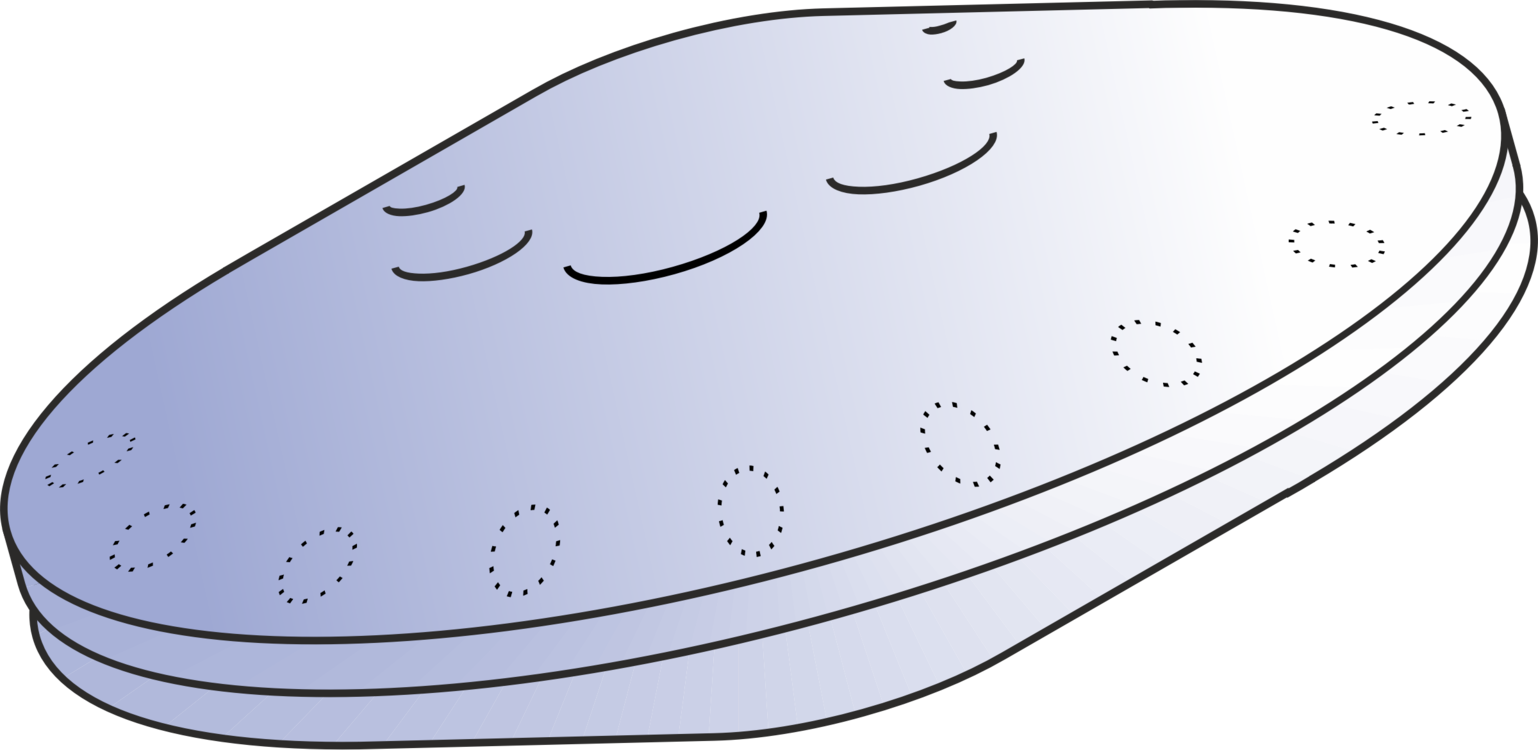 Animal Line Shoe Mercury Walking - Portable Network Graphics Clipart (1538x750), Png Download