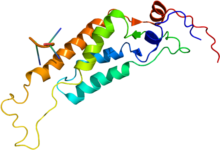 Tobacco Mosaic Virus Coat Protein Clipart (800x600), Png Download