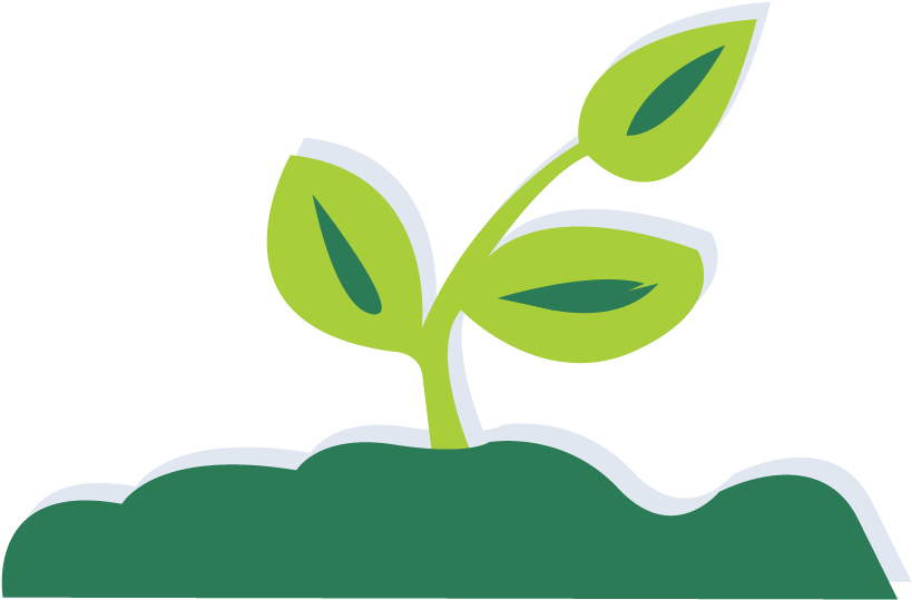 Seedling Clipart Garden Dirt - Illustration - Png Download (834x834), Png Download