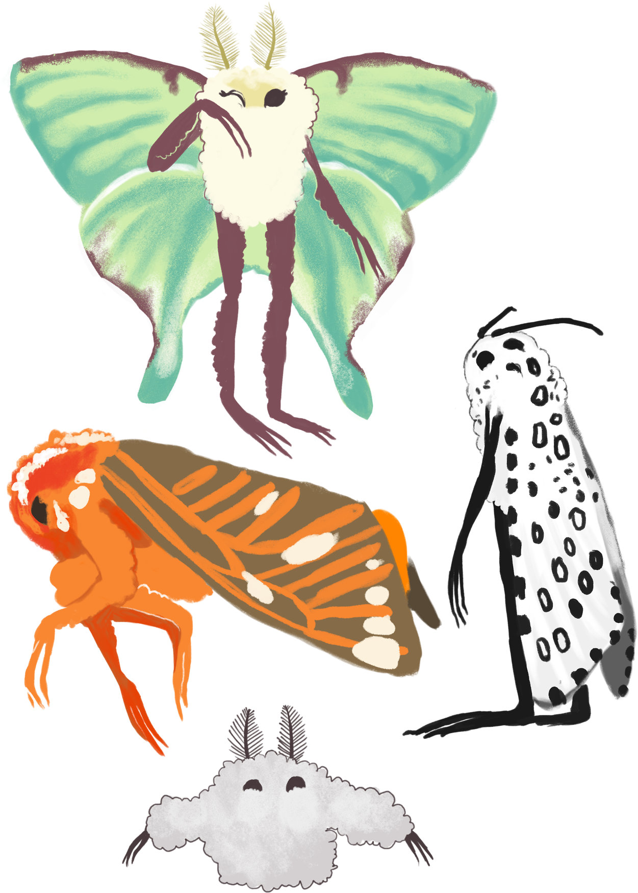 Moth Clipart Tumblr Transparent - Drawing - Png Download - Full Size