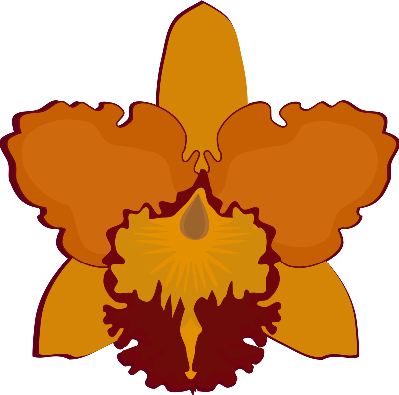 Cattleya Orchids Flowering Plant Petal Moth Orchids - Cattleya Flower Clip Art - Png Download (750x750), Png Download