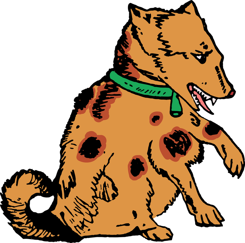 Picture - Cartoon Images Transparent Herdershond Clipart (804x800), Png Download
