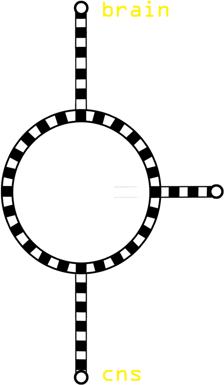 The Spinal Cord Carries Out Two Main Functions - Transparent Tumblr Purple Overlays Clipart (472x804), Png Download