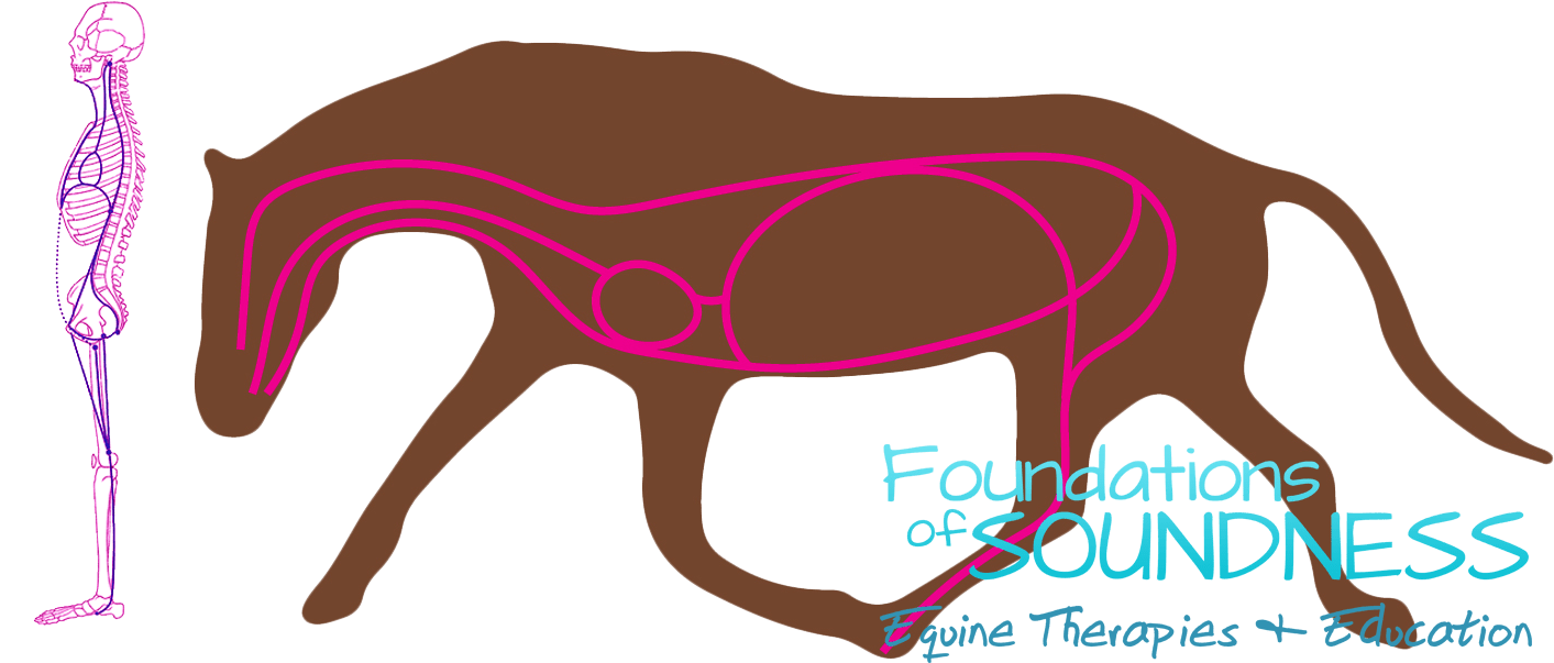 It Passes Along The Ventral Surface Of The Spinal Column, - Mare Clipart (1451x742), Png Download