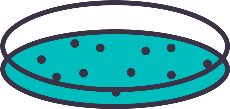 Petri Dish - Portable Network Graphics Clipart (1000x1000), Png Download