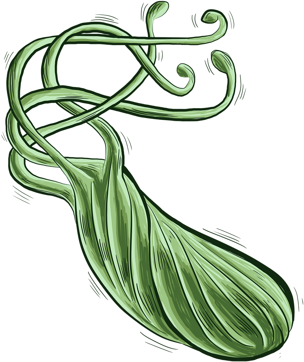 Bacteria Png Bacteria Bacterium Heliobacter - Helicobacter Pylori Png Clipart (720x720), Png Download