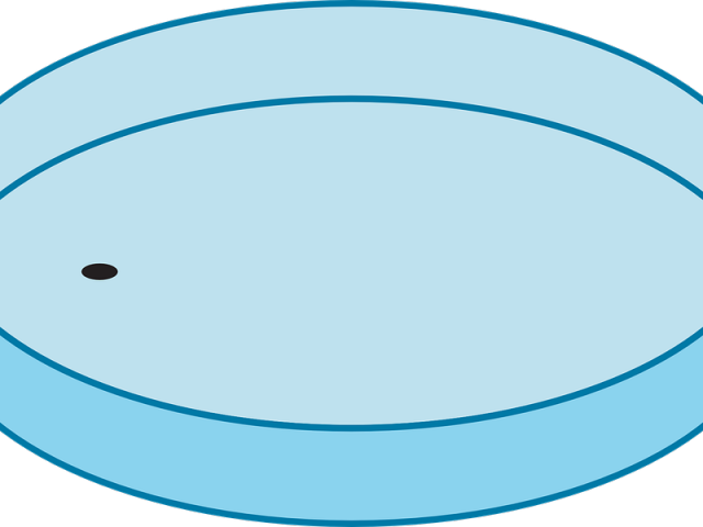 Bacteria Clipart Petri Dish - Bacteria - Png Download (640x480), Png Download