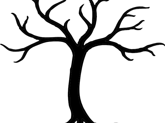 Branch Clipart Swirly Tree - Cartoon Tree No Leaves - Png Download (640x480), Png Download