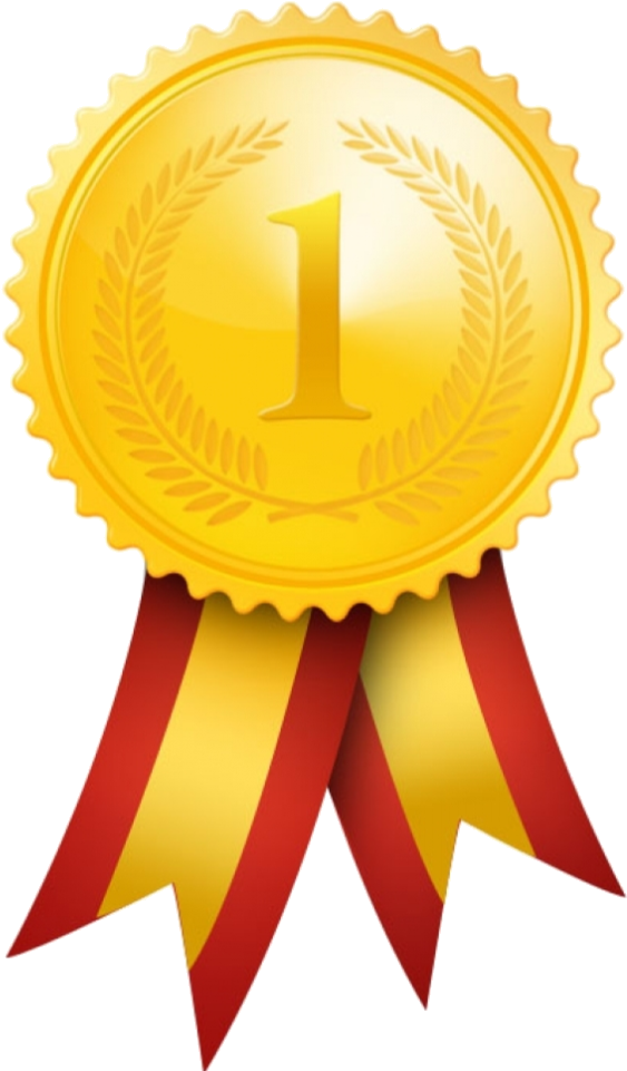 Grade 10 Results Pilates Ball Yoga Ball Stability Ball Exercise