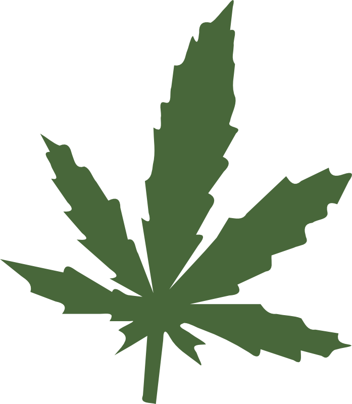 Medical Cannabis Leaf Cannabis Sativa Hemp - Custom Green Weed Leaf Throw Blanket Clipart (654x750), Png Download