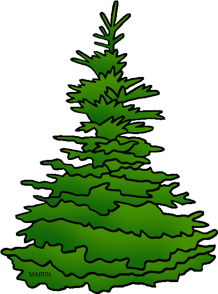 State Tree Of South Dakota - Spruce Tree Clip Art - Png Download (498x648), Png Download