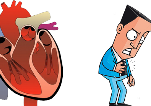 Flow Of A Blood Cell Through The Pulmonary Circuit Clipart (640x480), Png Download