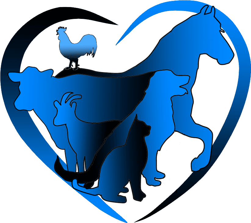 Hooves N Paws Animal Care - Hawaii Clipart (850x755), Png Download