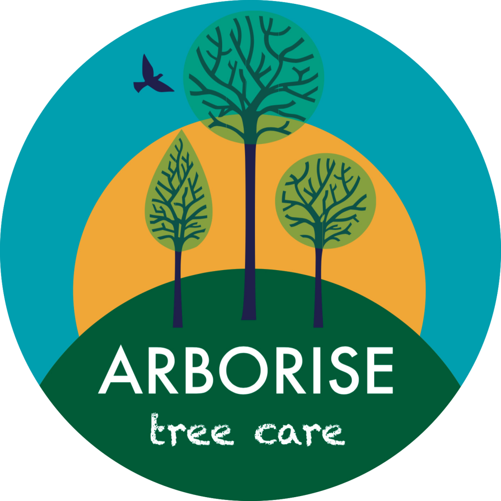Arborise Tree Care Clipart (1024x1024), Png Download