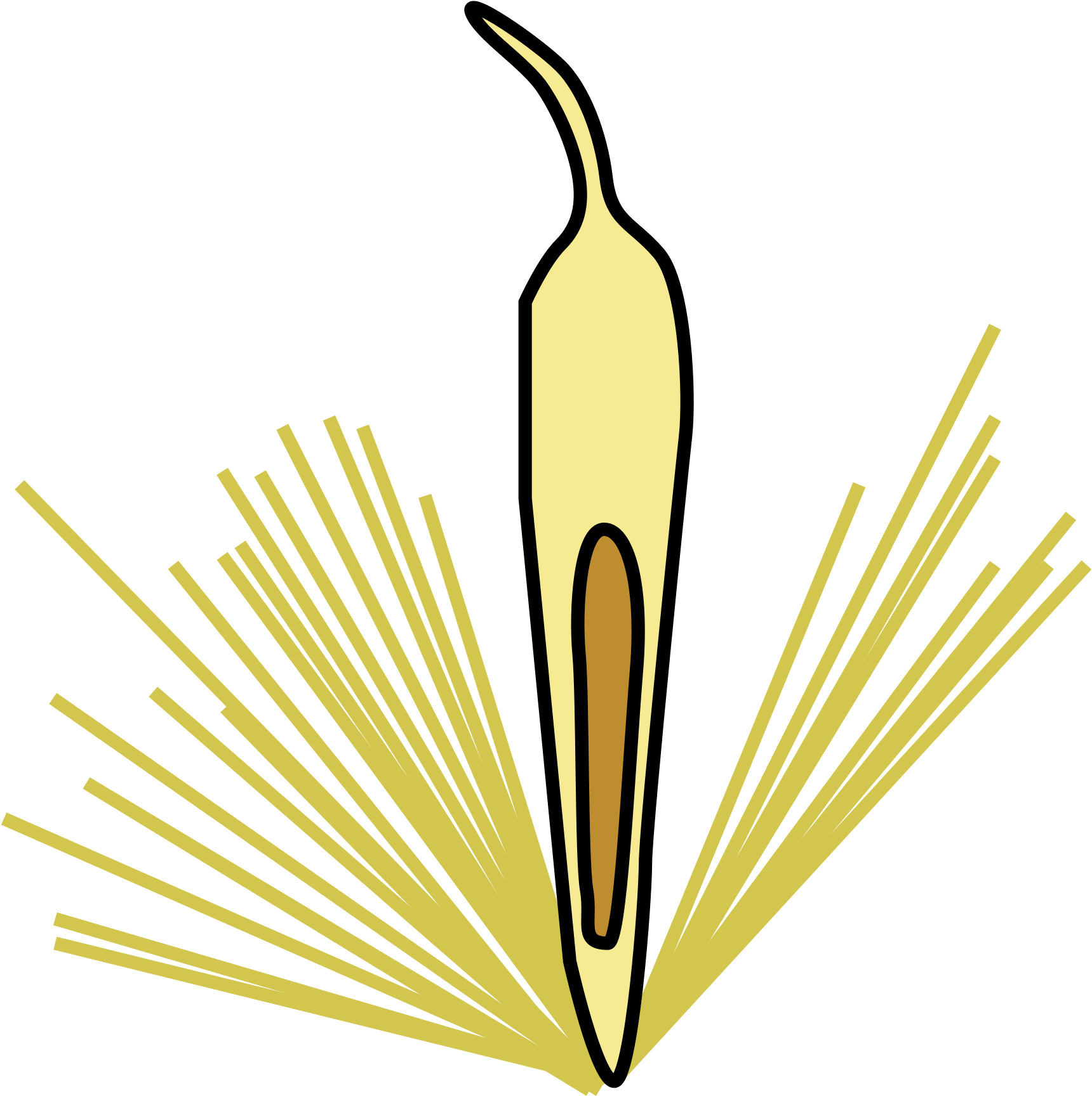 Multiple Fruit - Achene Clipart (2000x1916), Png Download