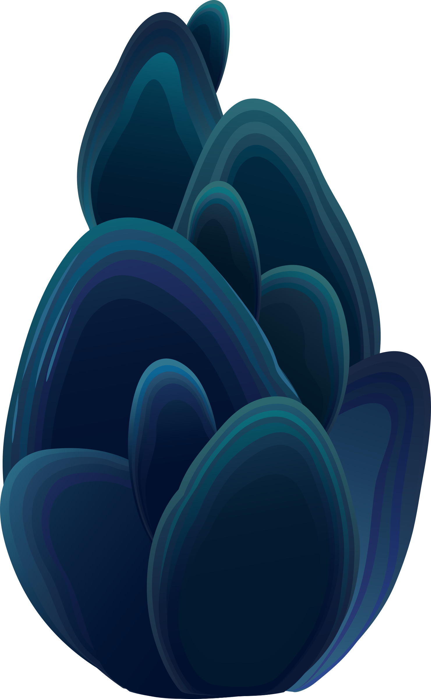 Big Image - Circle Clipart (1481x2400), Png Download