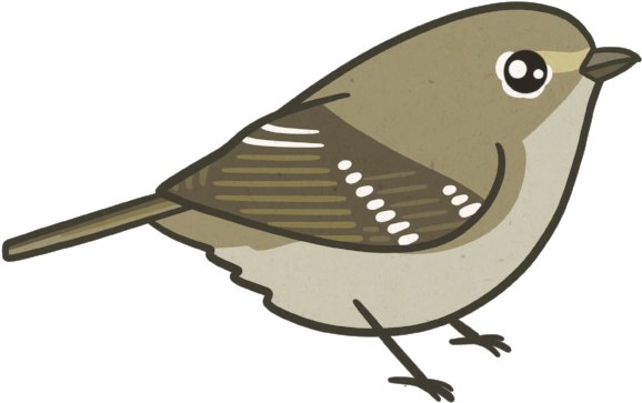 Hutton's Vireo By Birds And Friends Clipart (600x599), Png Download