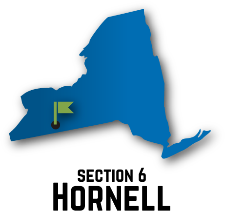 New York State Association Of Transportation Engineers Clipart (474x800), Png Download