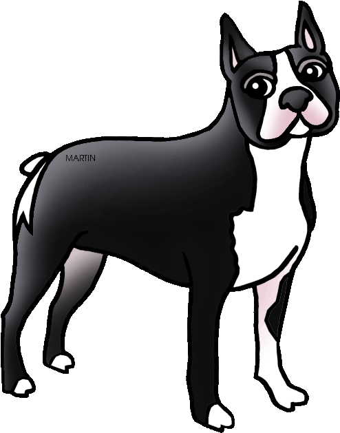 Free United States Clip Art By Phillip Martin, Massachusetts - Massachusetts State Boston Terrier - Png Download (567x648), Png Download