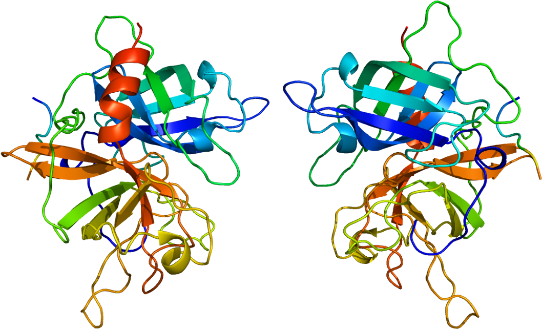 Epilepsy Drug A Potential Treatment For Heart Attack - Tissue Plasminogen Activator Structure Clipart (1107x691), Png Download