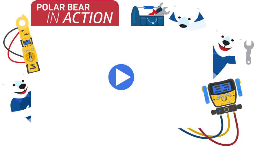 Polar Bear Conditioning Residential - Bear Clipart (872x507), Png Download