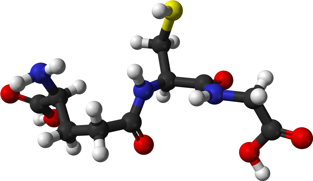 Glutathione Hack - Glutathione Molecule Clipart (1100x677), Png Download