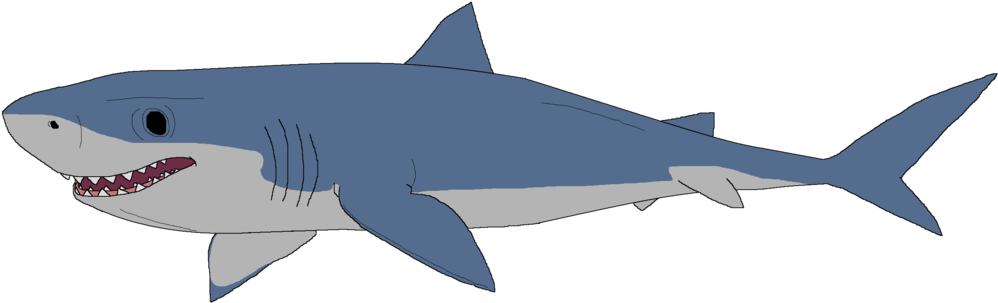 Great White Shark Clipart Mako Shark - Great White Shark Clip Art - Png Download (1024x326), Png Download