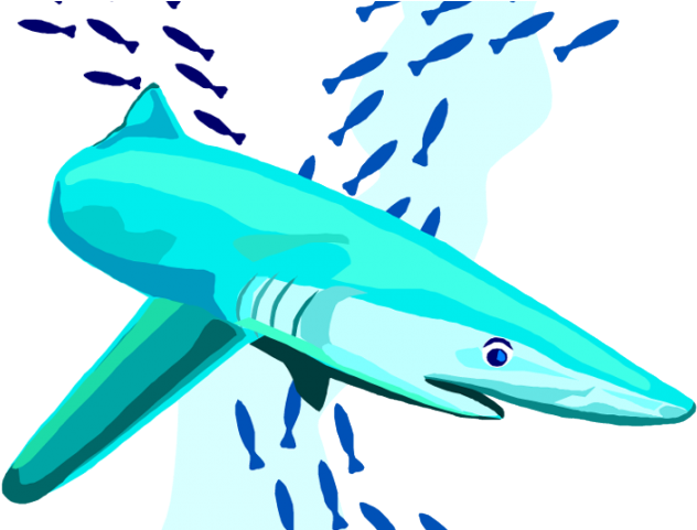 Great White Shark Clipart Purple - Clip Art - Png Download (640x480), Png Download