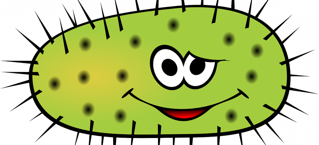 Oregano And Melaleuca Oils Fight Bacteria - Bacteria Cartoon Transparent Clipart (1100x500), Png Download