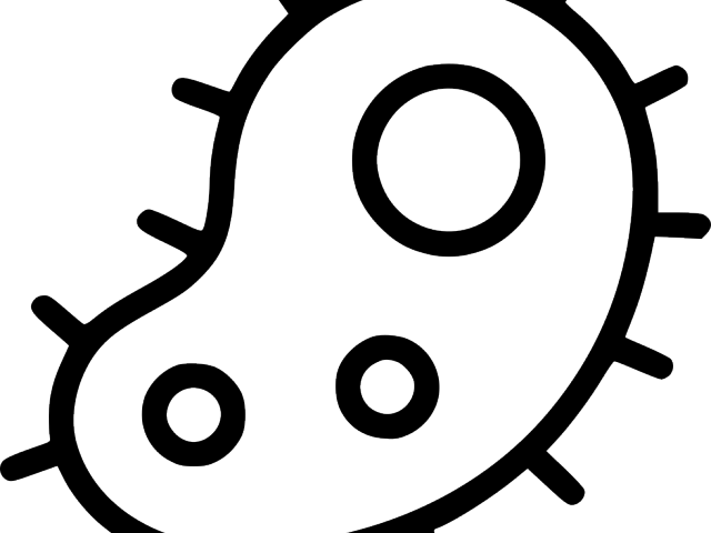 Bacteria Clipart Viral Infection - Sun And Snow Icon - Png Download (640x480), Png Download