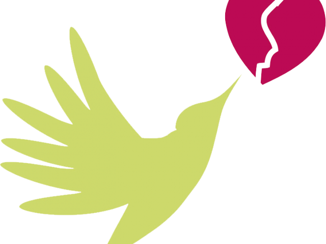 Broken Heart Clipart Heart Disease - Cardiovascular Disease - Png Download (640x480), Png Download