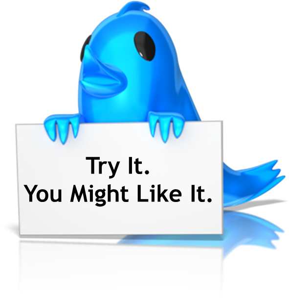 Twitter For Rookies - Twitter Clipart (625x625), Png Download