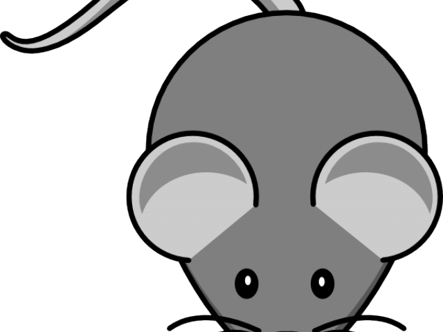 Cartoon Picture Of A Mouse - Cartoon Mouse Clipart (640x480), Png Download
