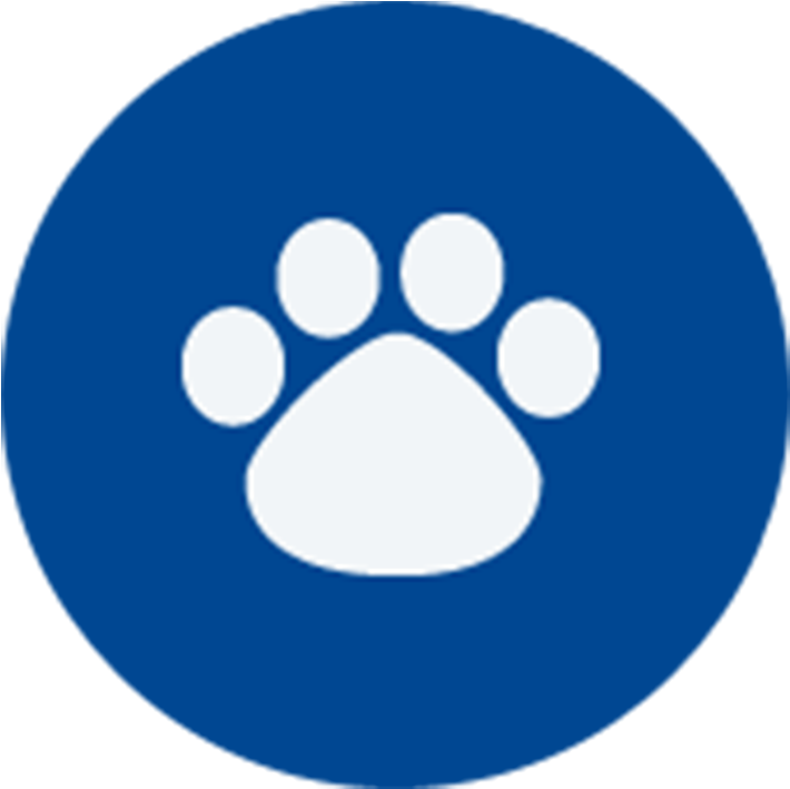 Animals - Date Time Venue Icon Clipart (772x772), Png Download