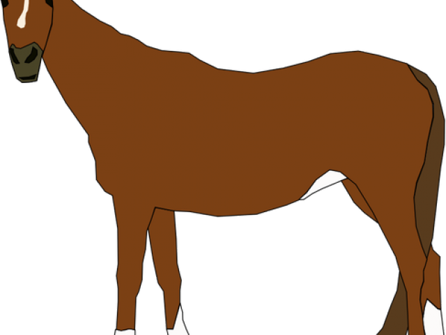 Mare Clipart Brown Horse - Horse Clip Art - Png Download (640x480), Png Download