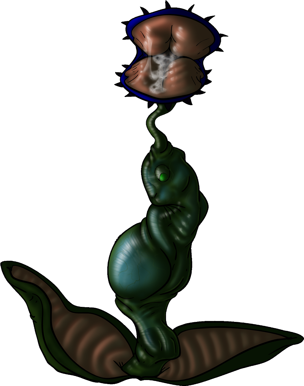 Venus Fly Trap Jade - Illustration Clipart (1280x1280), Png Download