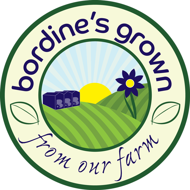 Bordine's Grown From Our Farm - Mse Christmas Warmth My Sentiments Exactly Mounted Clipart (640x640), Png Download