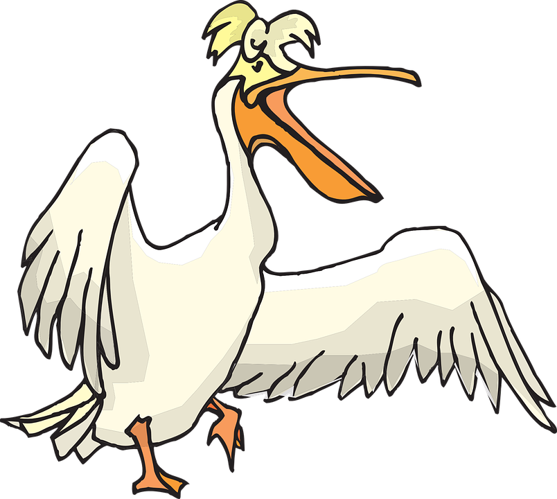 Pelican Clip Art - Pelican Clipart Png Transparent Png (804x720), Png Download