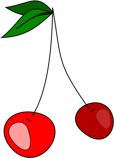 All Photo Png Clipart - Clip Art Transparent Png (540x749), Png Download