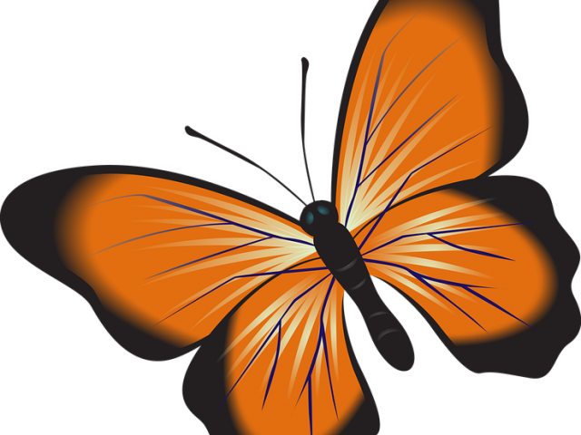 Insect Clipart Butterfly - Clip Art - Png Download (640x480), Png Download