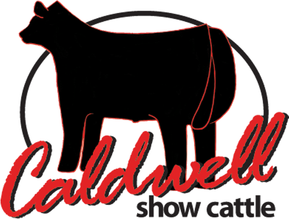 Branding Your Company - Cat Clipart (900x600), Png Download