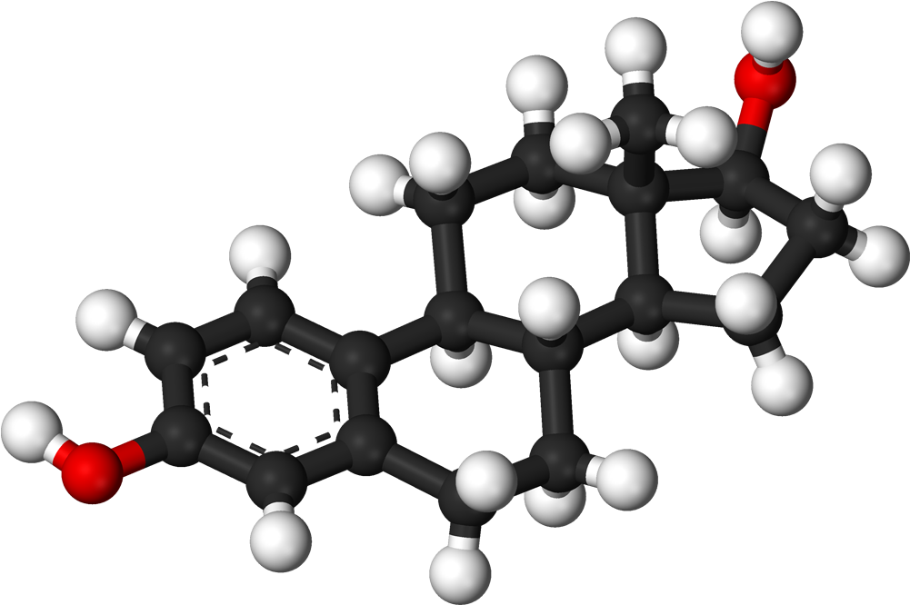 Estrogen Worsens Anaphylaxis In Female Mice - Estradiol Png Clipart (1100x765), Png Download