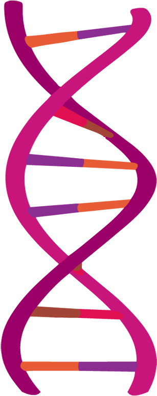 Dna Clipart (880x880), Png Download