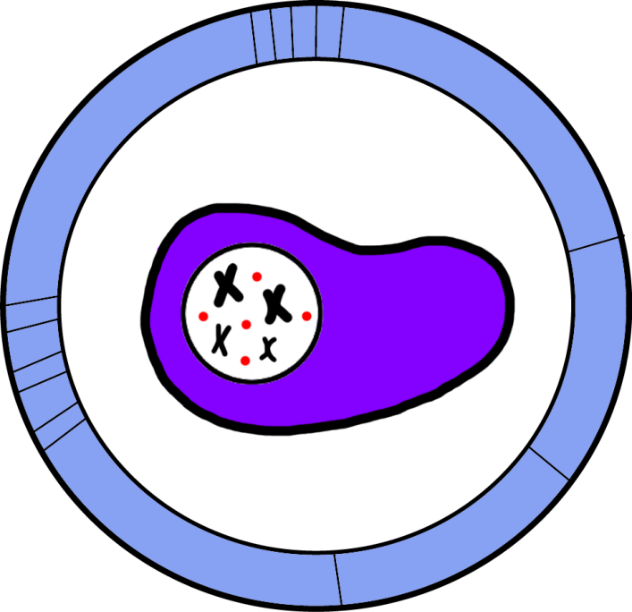 Interlab Study Clipart (707x684), Png Download