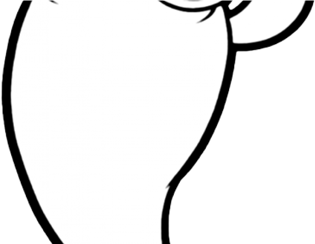 Whale Clipart Finding Dory - Circle - Png Download (640x480), Png Download