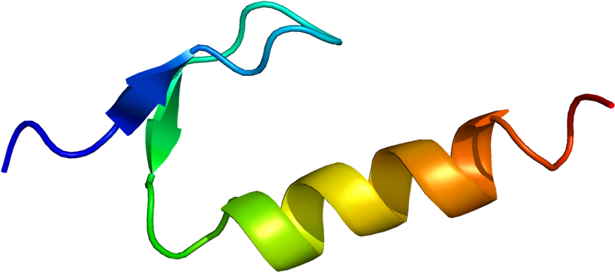 Dna Clipart Dna Replication - Polh Gene - Png Download (918x433), Png Download
