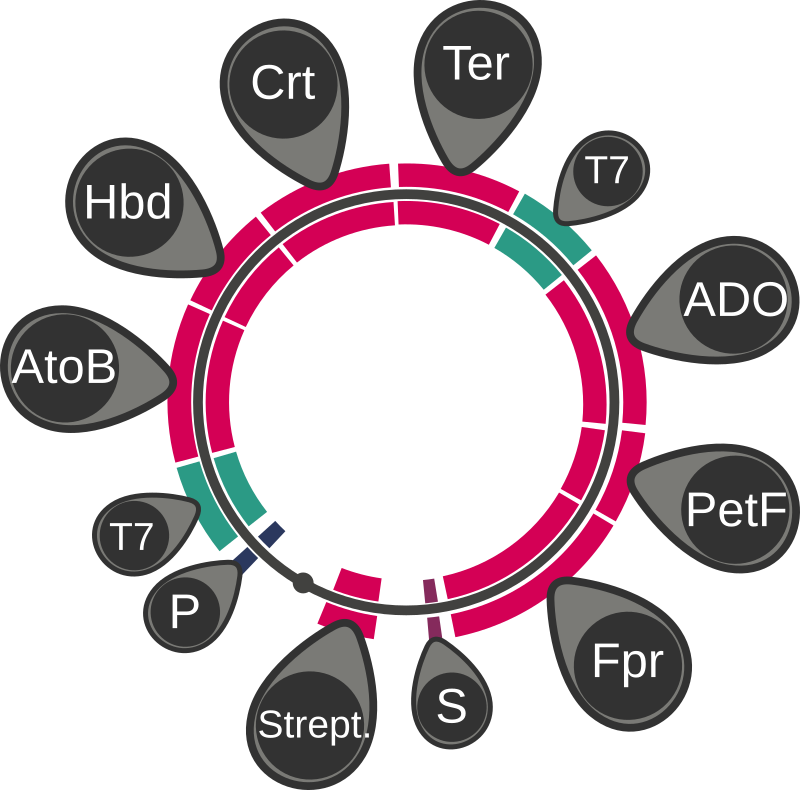 Propane Plasmid - Taiwan Vlag Clipart (800x790), Png Download
